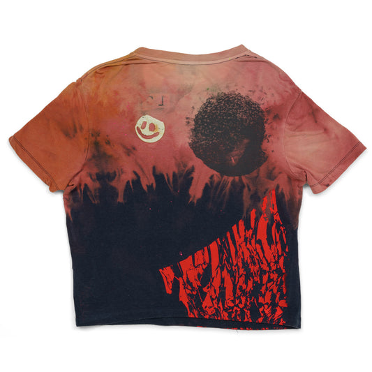 DD_cycle-042 'friends' T [Small]