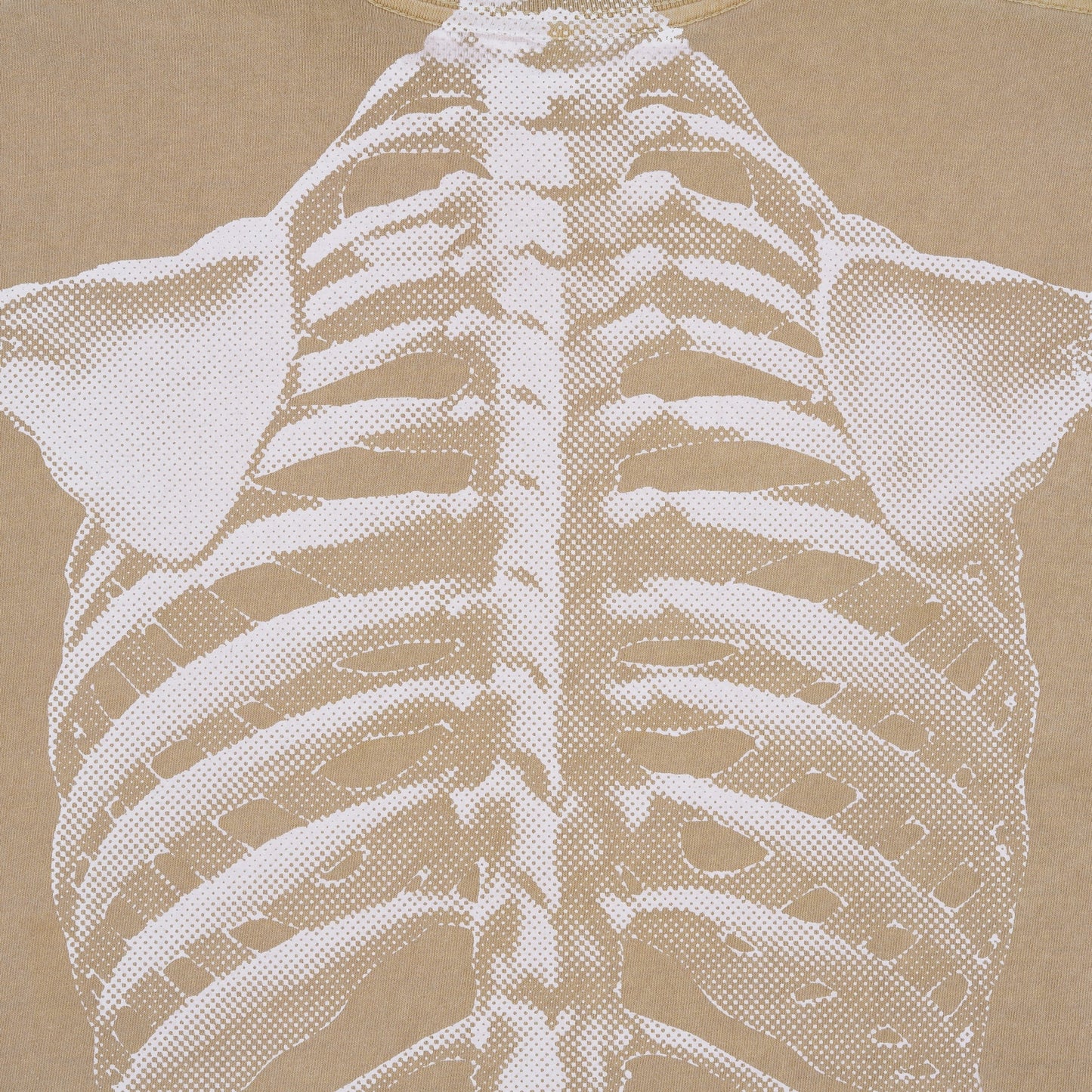 SkeleShirt (Mushroom)